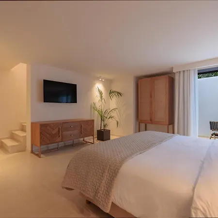 Hotel Asty Mykonos & - World Of One Group 5*