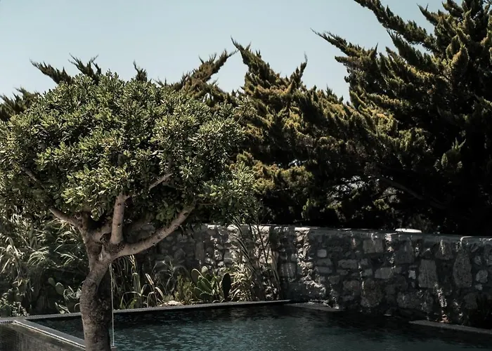 Asty Mykonos & - World Of One Group ホテル Mykonos Town